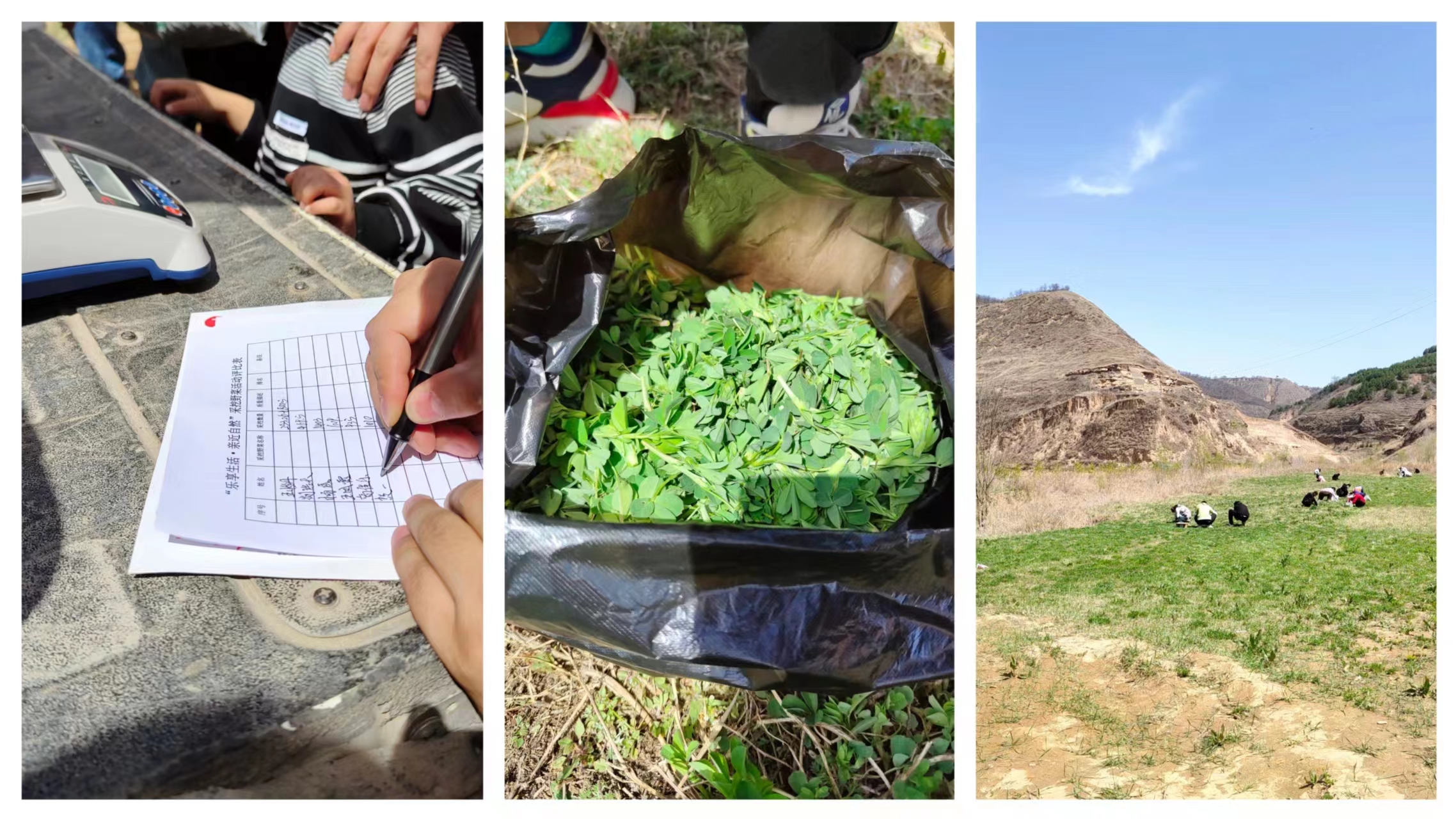 黨建引領(lǐng)促效率  春游踏青聚合力 ——“樂(lè)享生活·親近自然”職工春游暨4月份主題黨日活動(dòng)