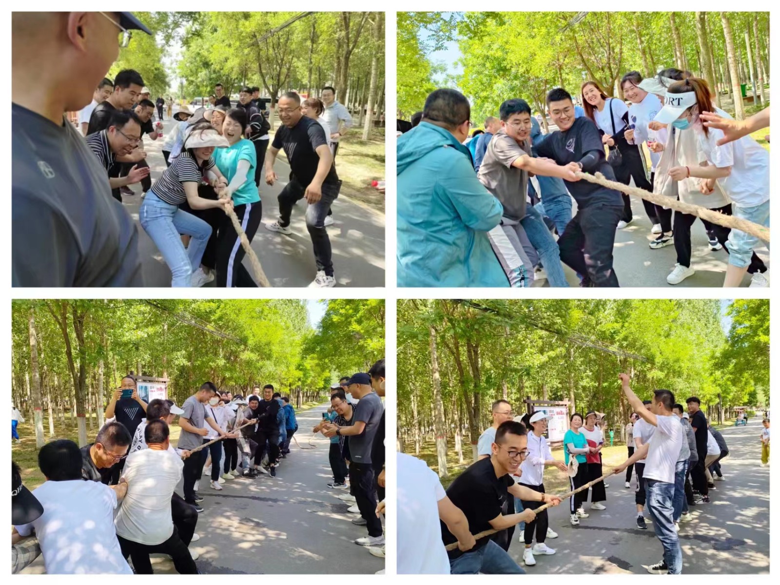 “學習二十大、奮進新征程”三抓三促在行動 徒步活動暨2023年6月主題黨日活動